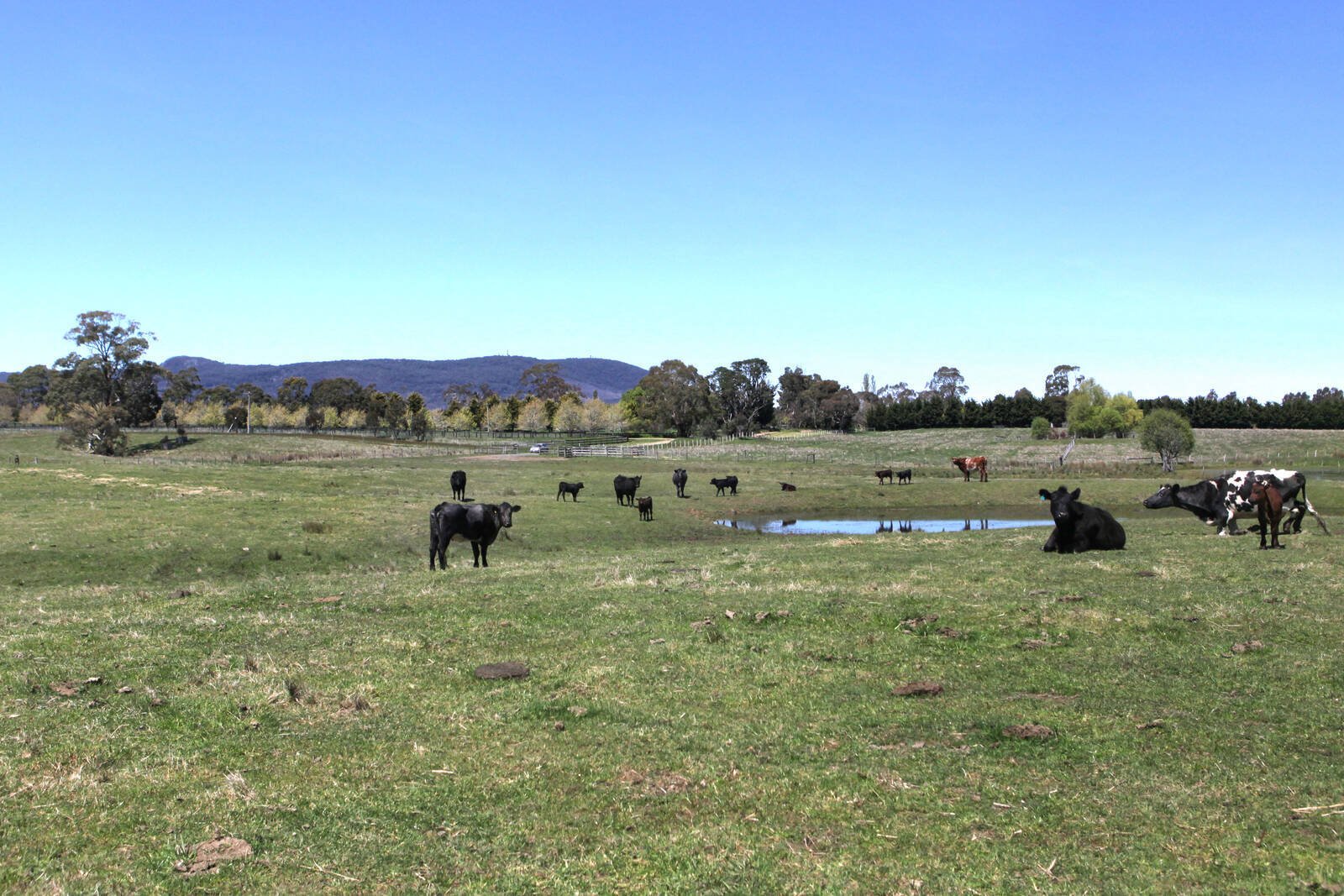 Real Estate and Property in 97 Kirbys Lane, Woodend, VIC