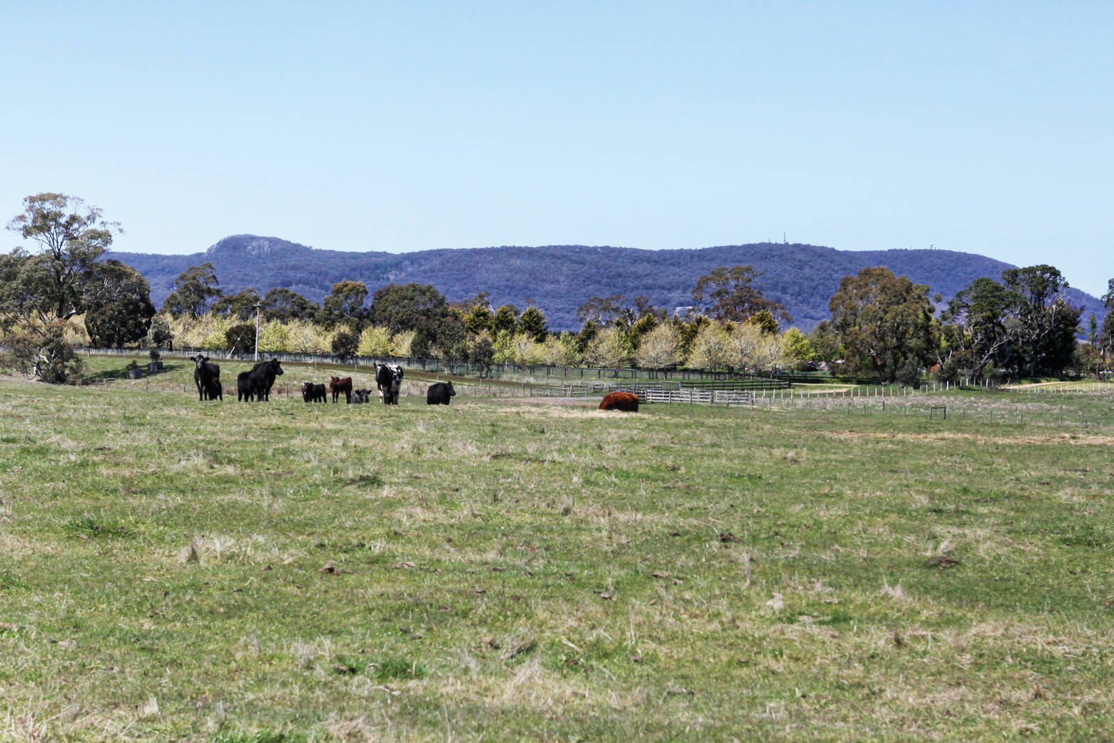 Real Estate and Property in 97 Kirbys Lane, Woodend, VIC