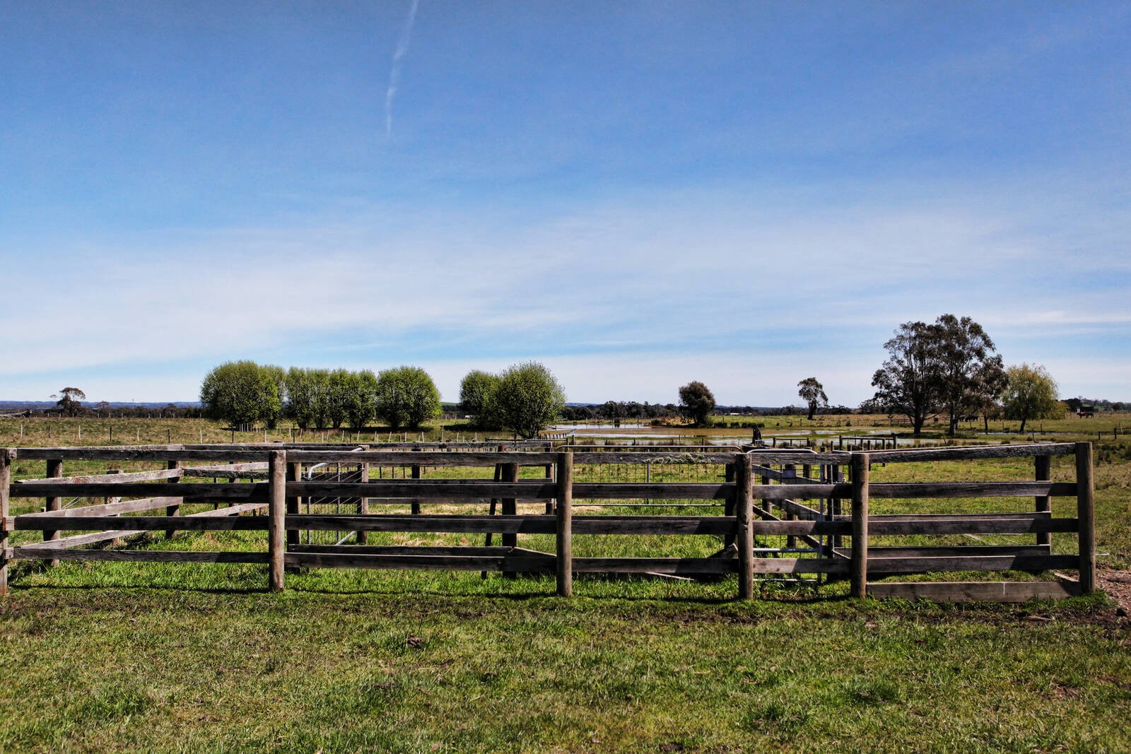 Real Estate and Property in 97 Kirbys Lane, Woodend, VIC