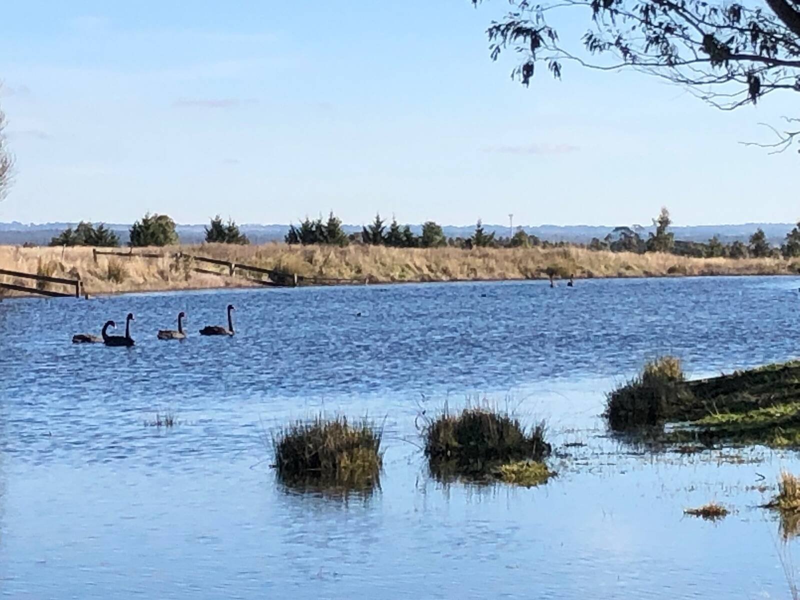 Real Estate and Property in 97 Kirbys Lane, Woodend, VIC