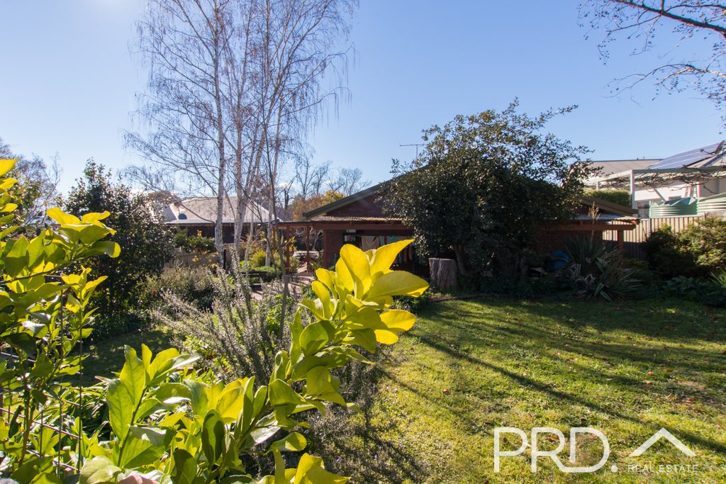 97 Lambie Street TUMUT 17