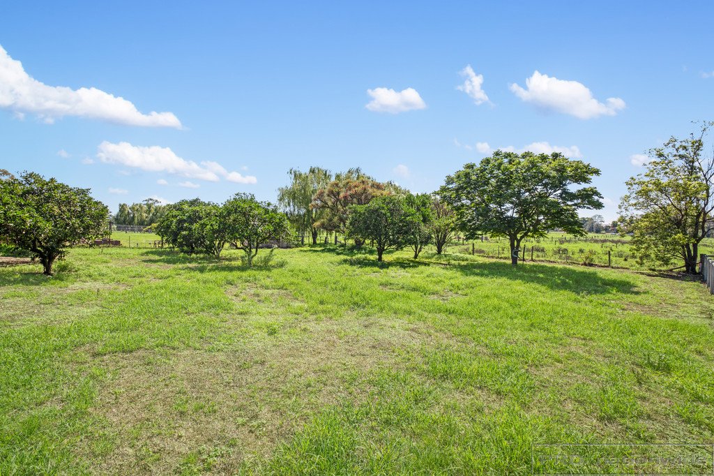 97 Regent Street MAITLAND 16