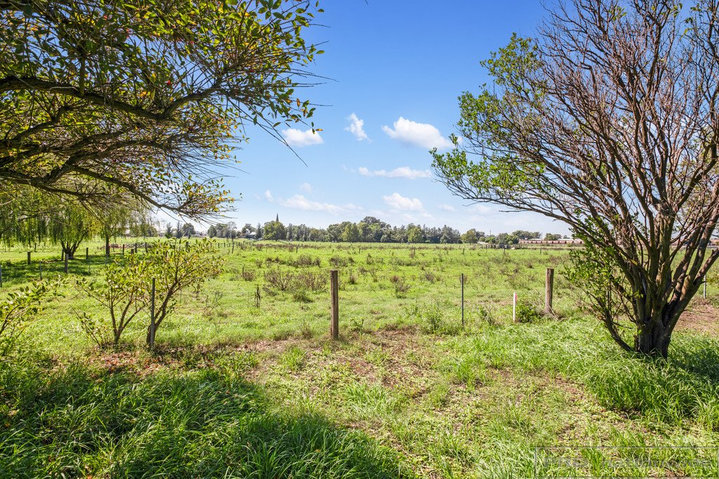 97 Regent Street MAITLAND 19