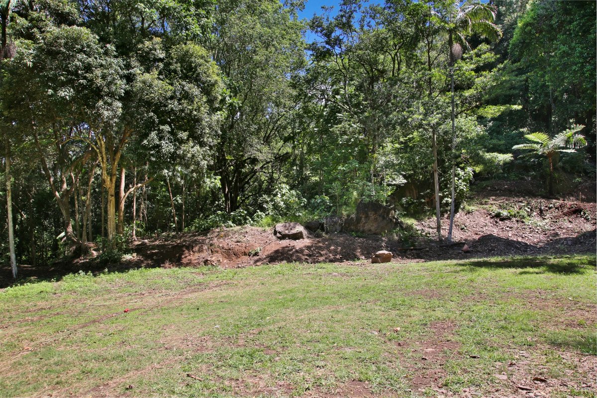 97 Reynolds Road Currumbin Valley 5