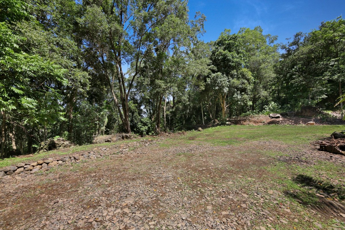 97 Reynolds Road Currumbin Valley 6