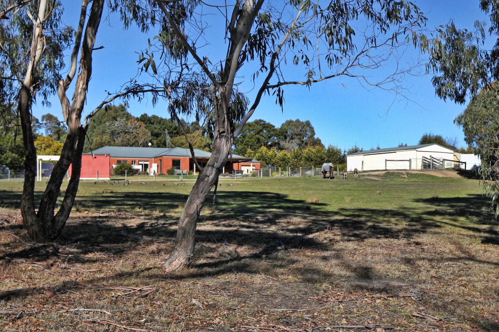 Real Estate and Property in 97 Rosa Court, Kyneton, VIC