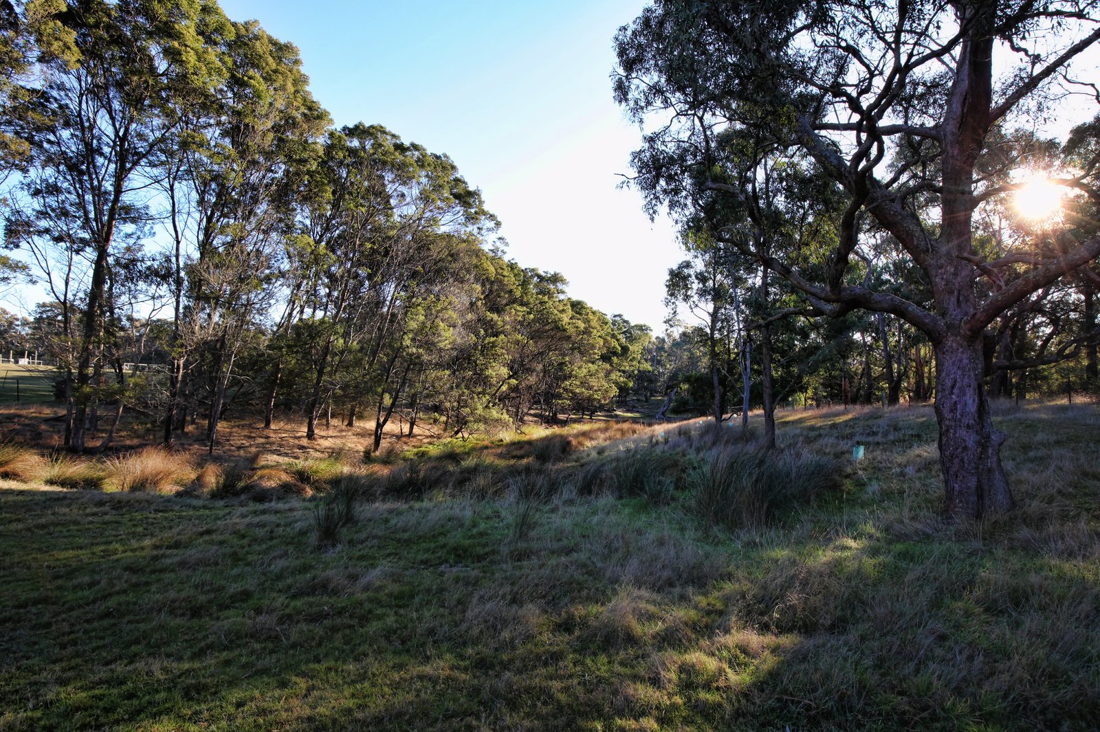 Real Estate and Property in 97 Rosa Court, Kyneton, VIC