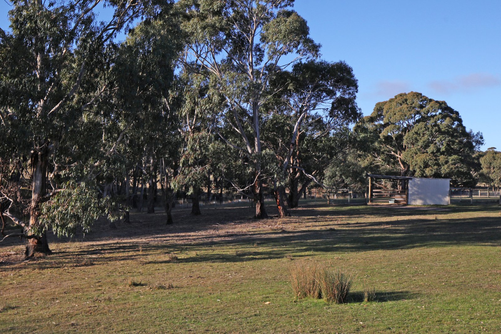 Real Estate and Property in 97 Rosa Court, Kyneton, VIC