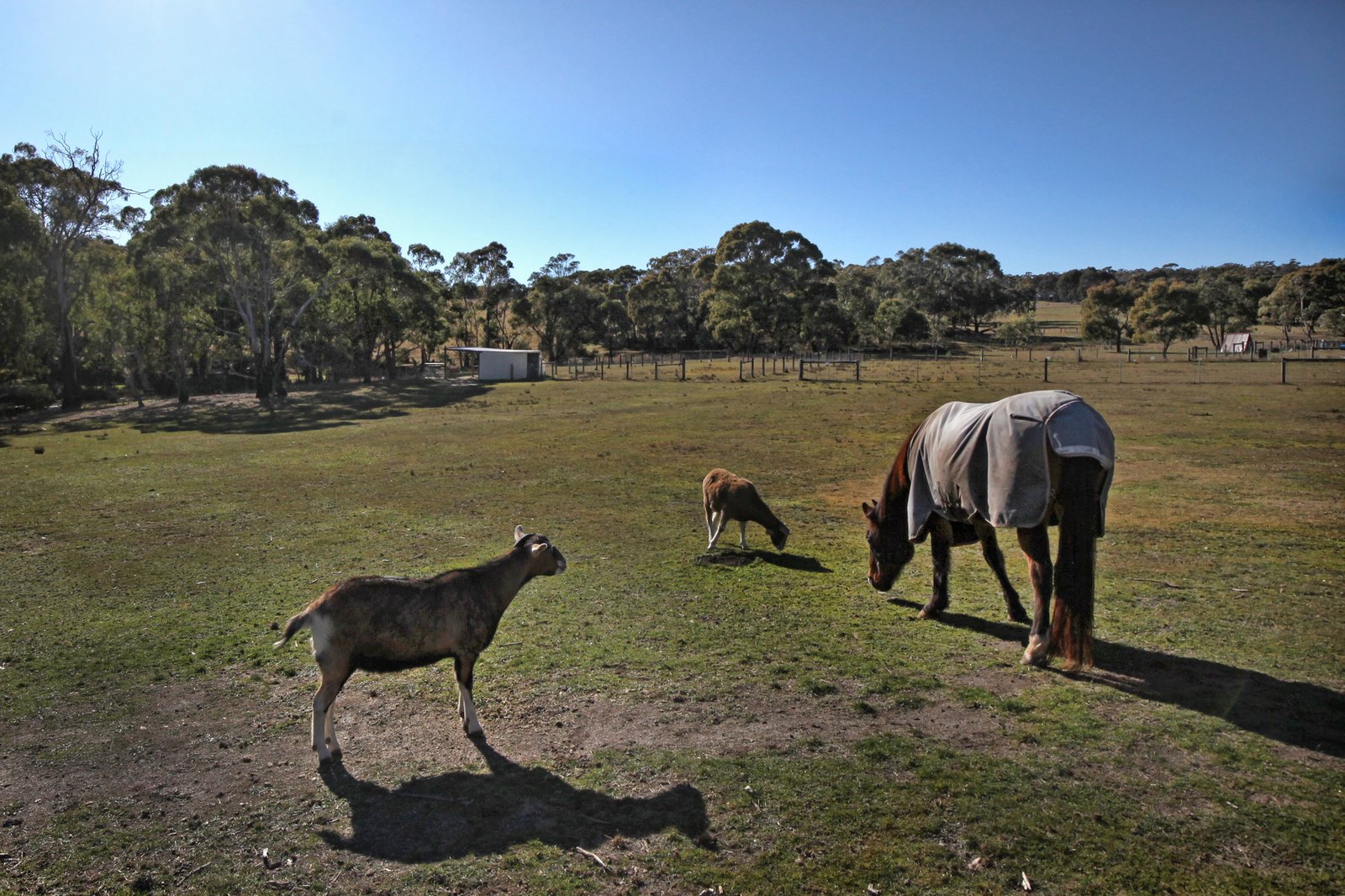 Real Estate and Property in 97 Rosa Court, Kyneton, VIC