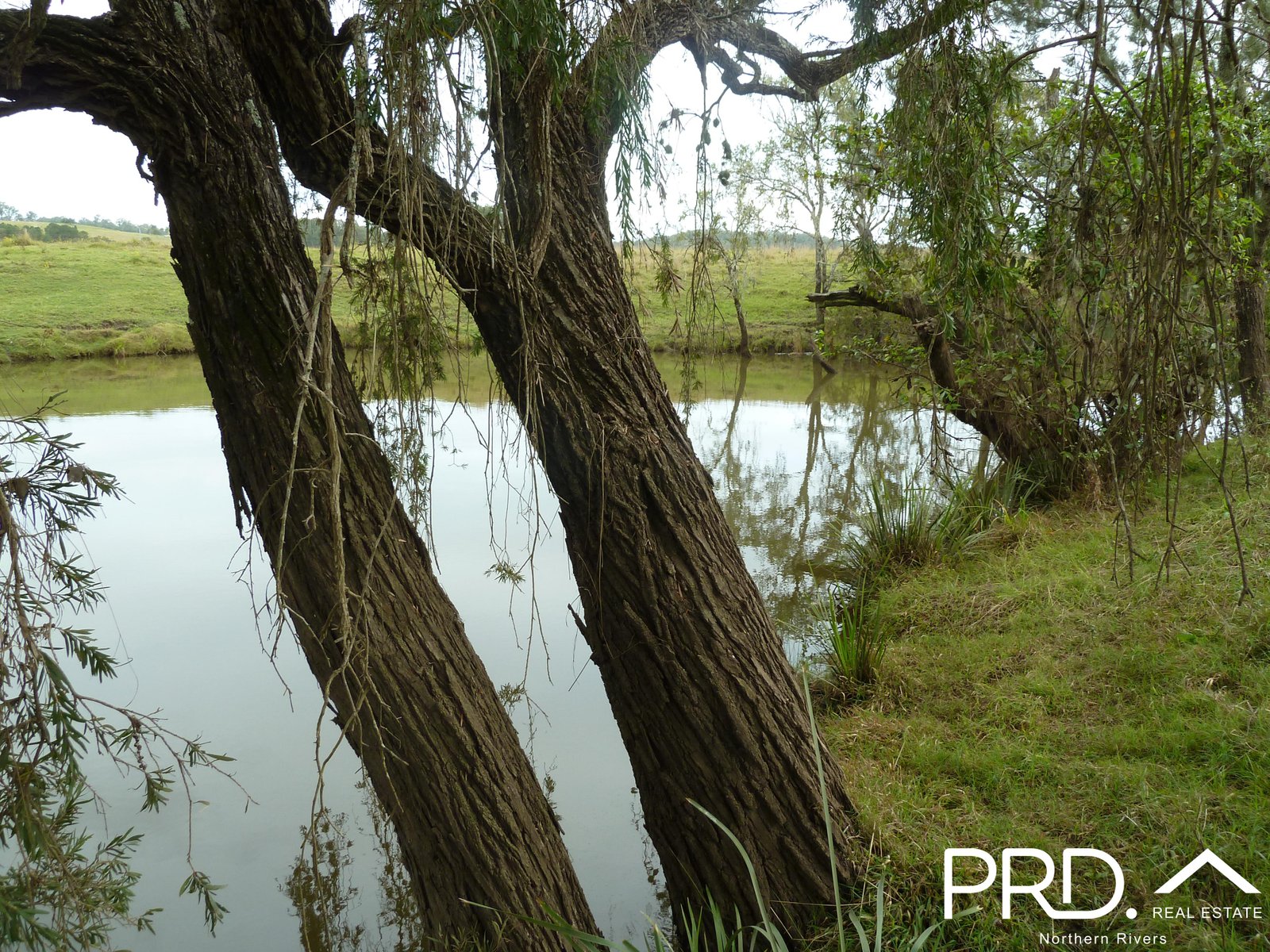 97 Woods Road DOBIES BIGHT 4