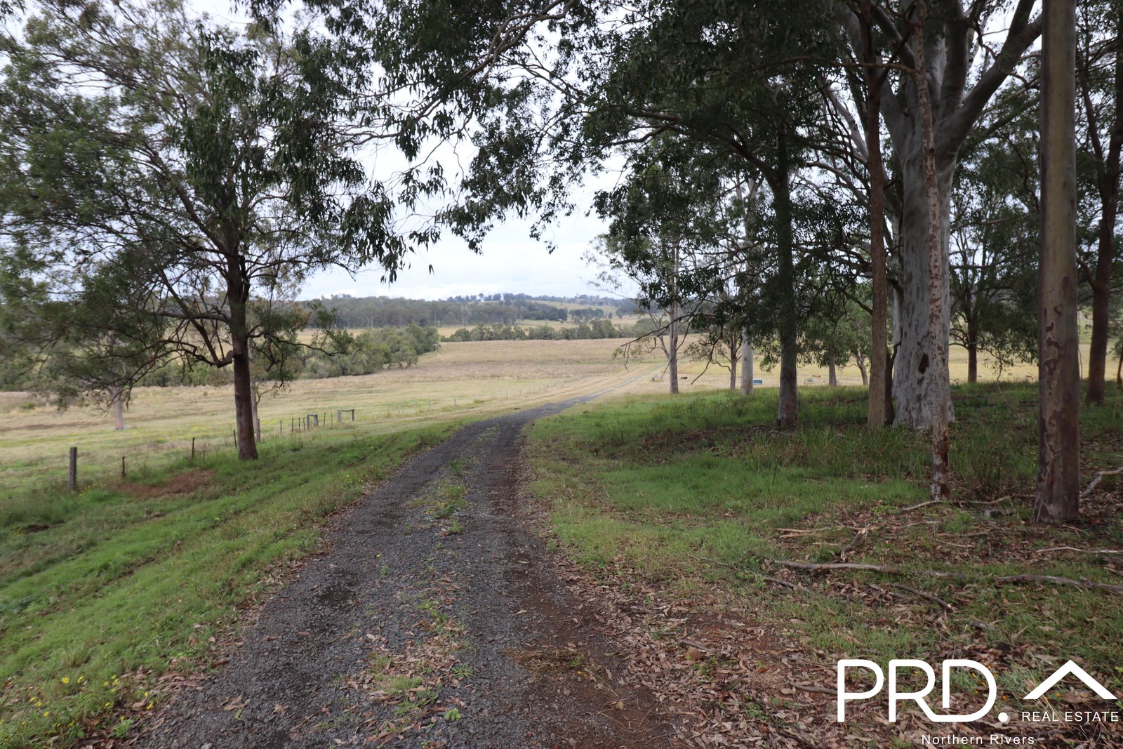 97 Woods Road DOBIES BIGHT 5