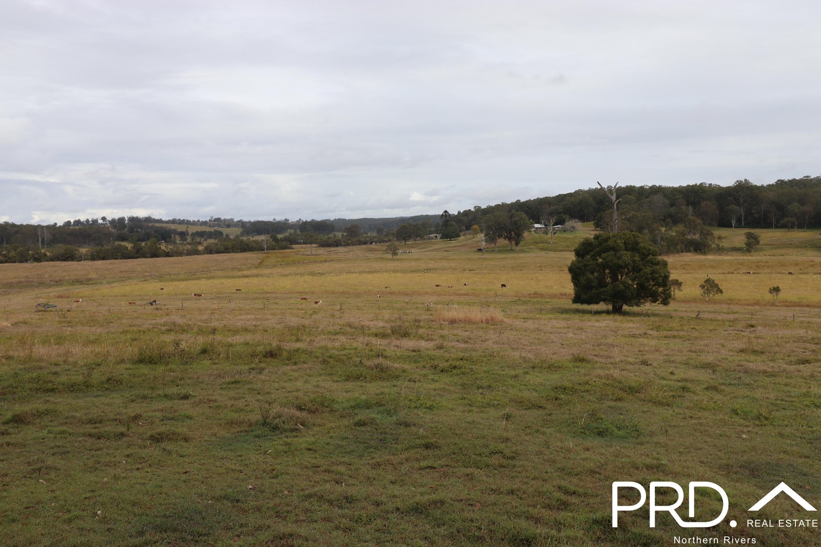 97 Woods Road DOBIES BIGHT 6