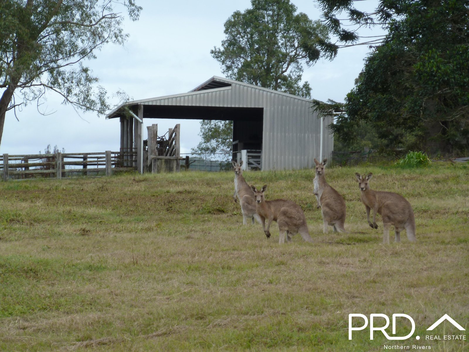 97 Woods Road DOBIES BIGHT 18