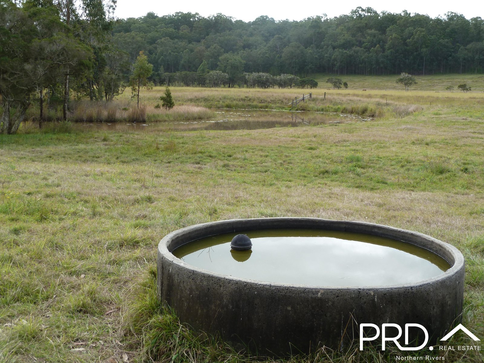 97 Woods Road DOBIES BIGHT 28