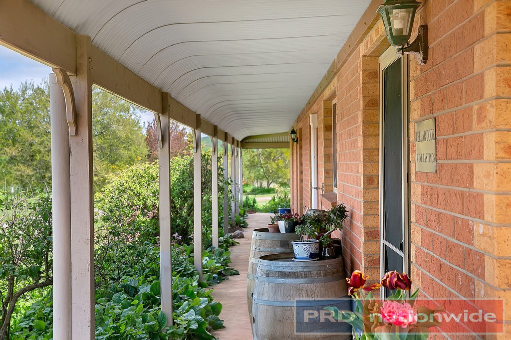 970 Coghills Creek Road COGHILLS CREEK 14