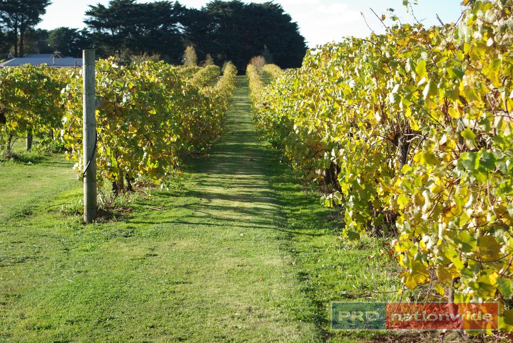 970 Coghills Creek Road COGHILLS CREEK 2