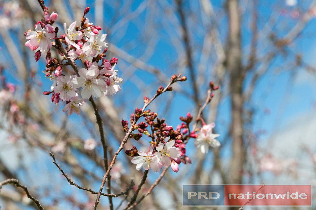 970 Coghills Creek Road COGHILLS CREEK 14