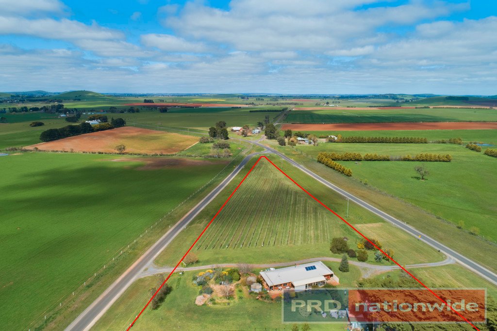 970 Coghills Creek Road COGHILLS CREEK 16