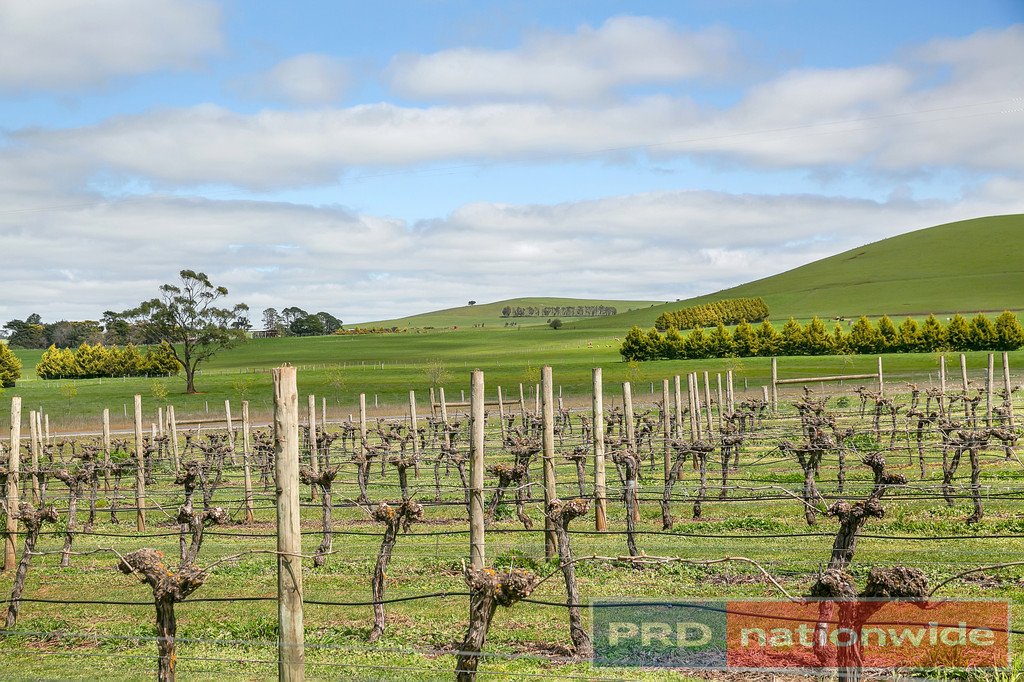 970 Coghills Creek Road COGHILLS CREEK 17