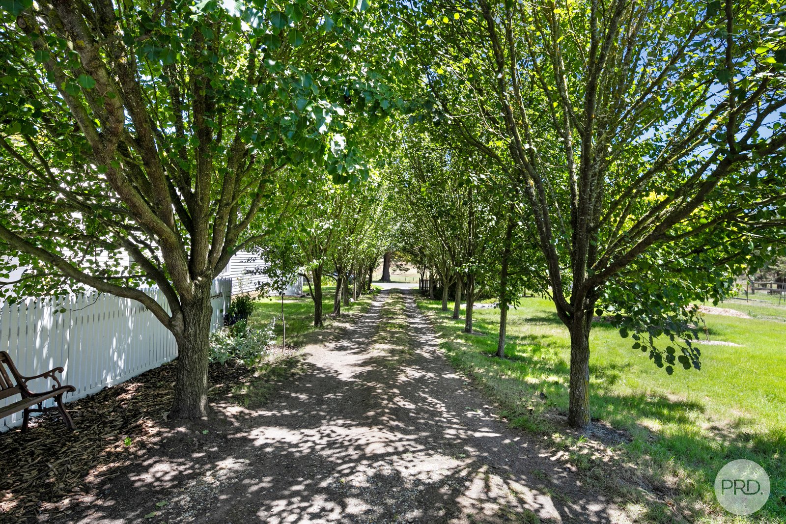 972 Linton-Carngham Road SNAKE VALLEY 19