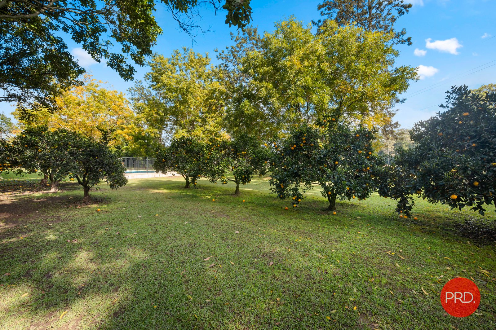 977 Orara Way NANA GLEN 31