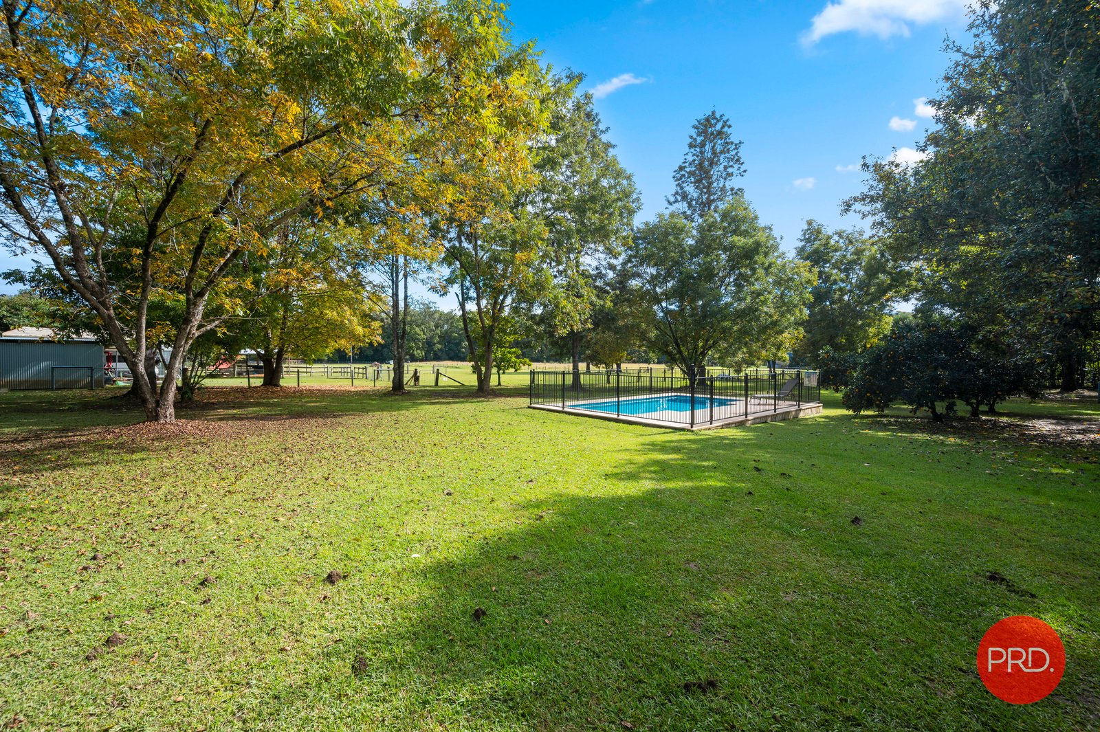 977 Orara Way NANA GLEN 32