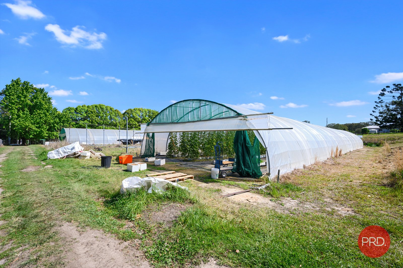 978 Orara Way NANA GLEN 23