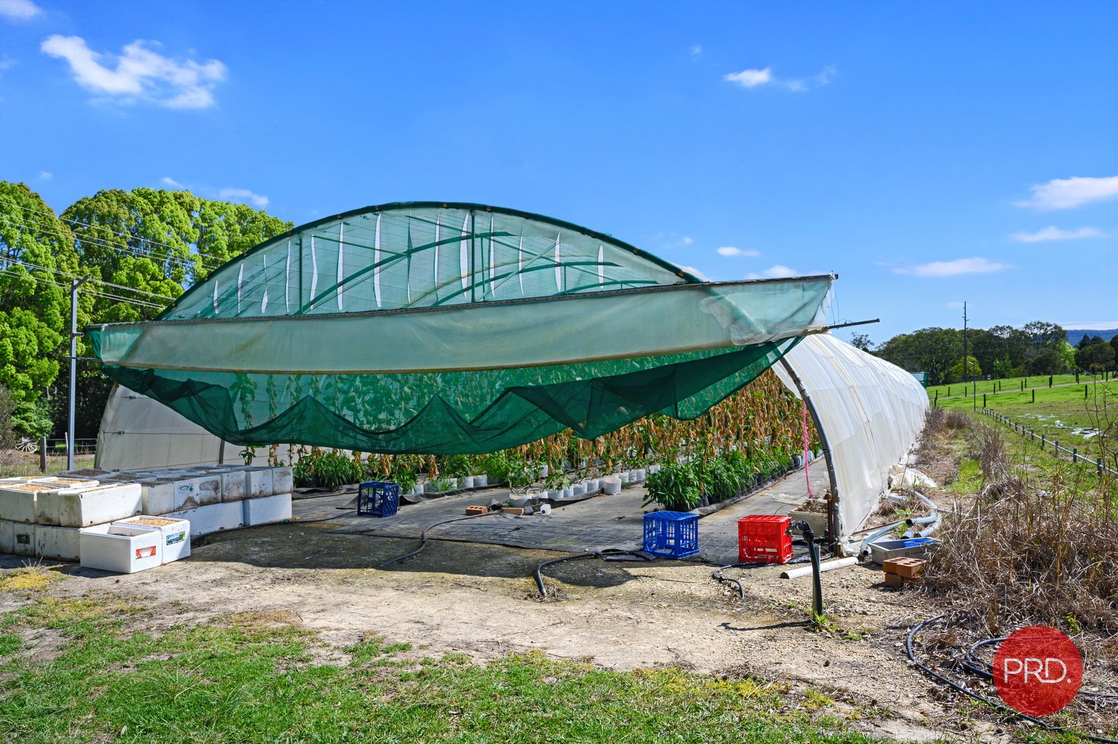 978 Orara Way NANA GLEN 24