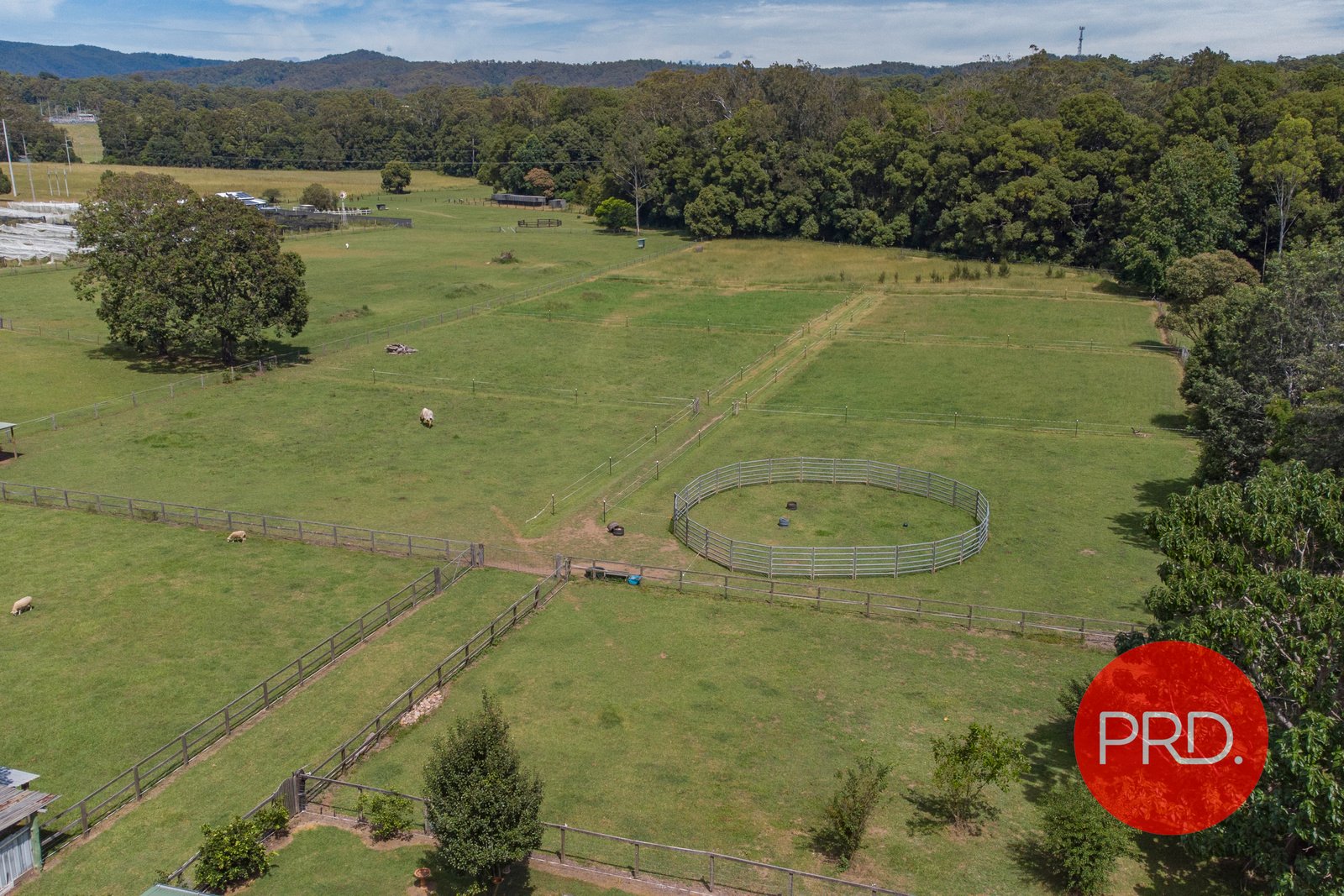 979 Orara Way NANA GLEN 3