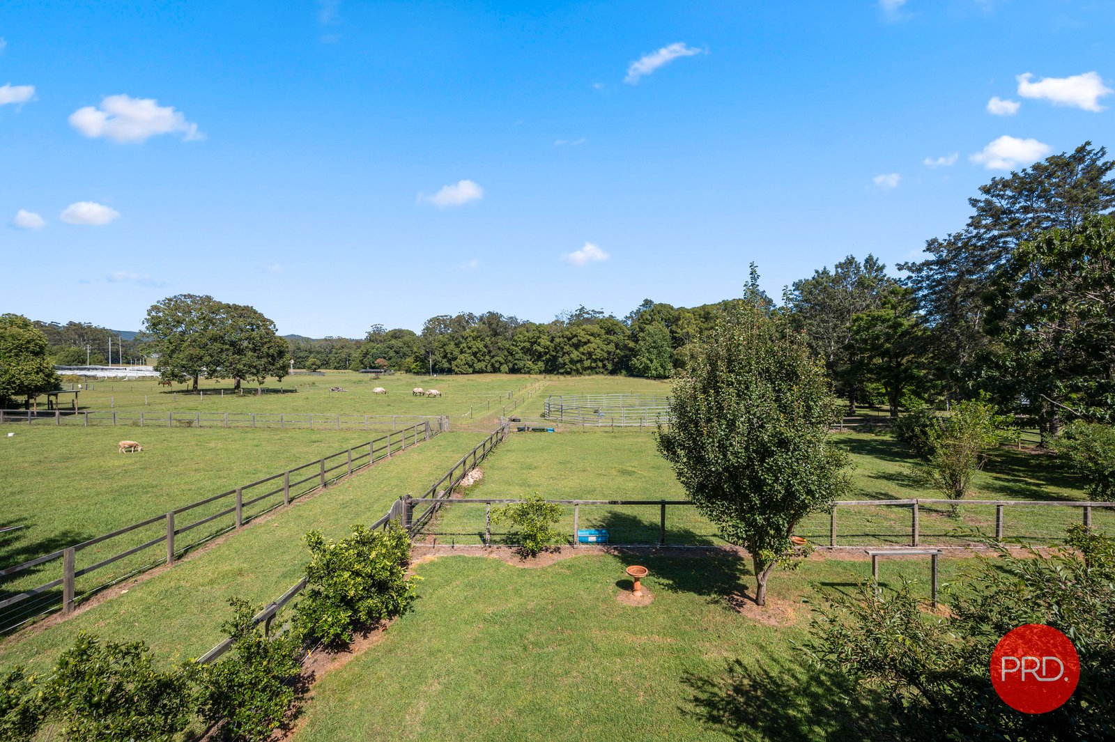 979 Orara Way NANA GLEN 8