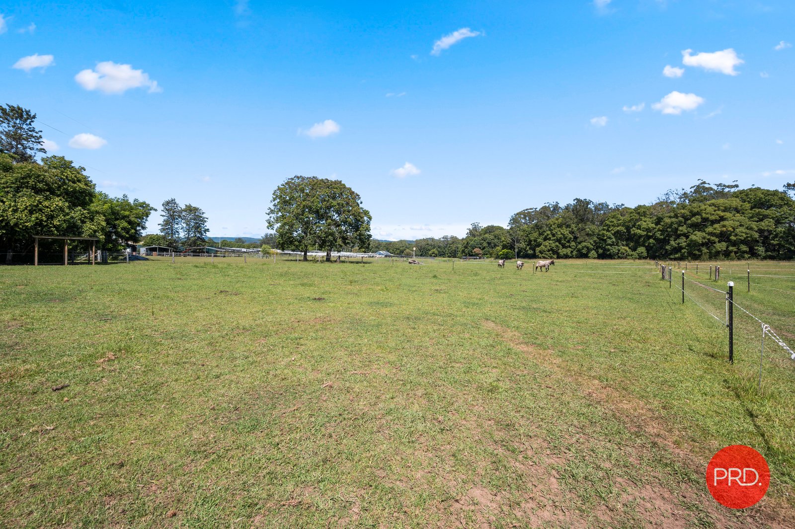 979 Orara Way NANA GLEN 23