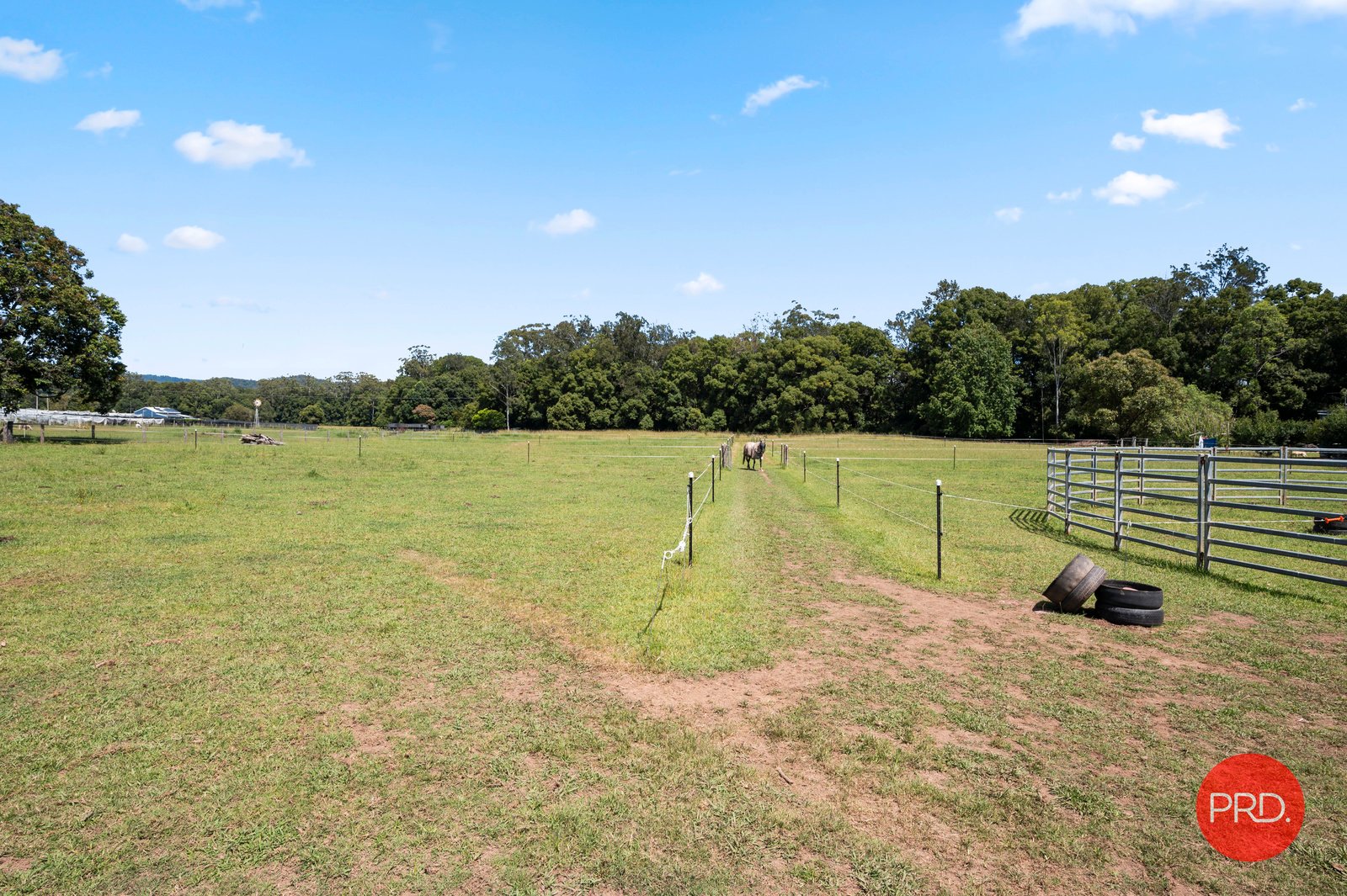 979 Orara Way NANA GLEN 24