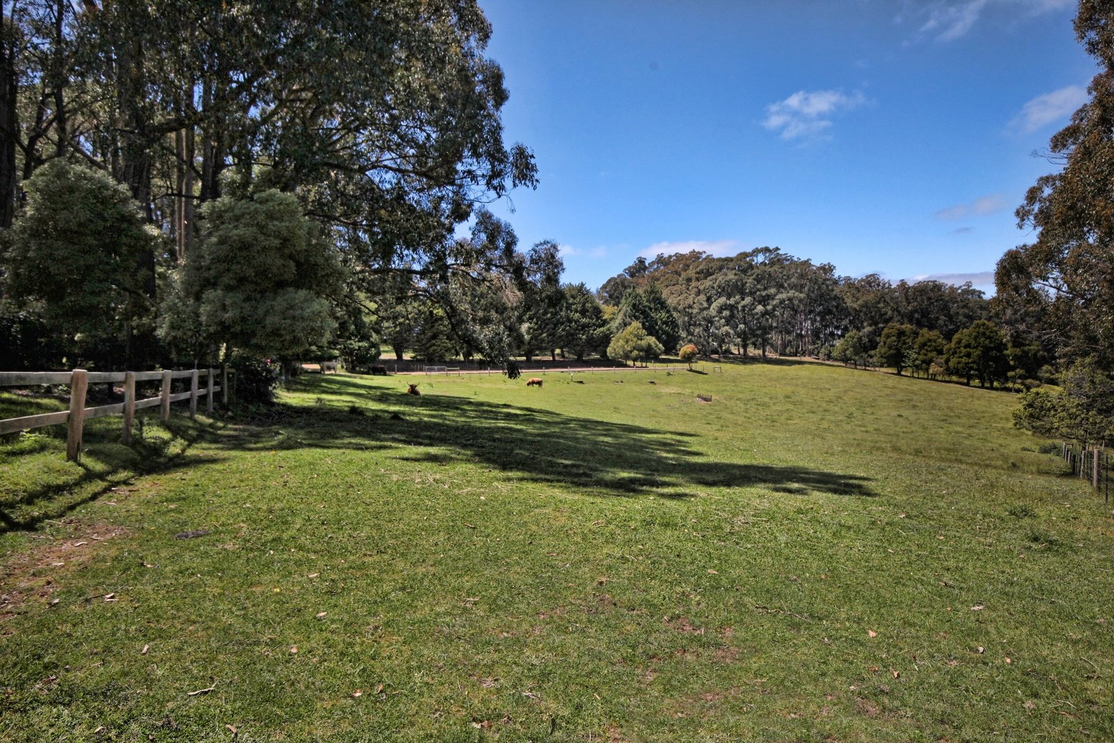 Real Estate and Property in 98 Gradys Lane, Kerrie, VIC