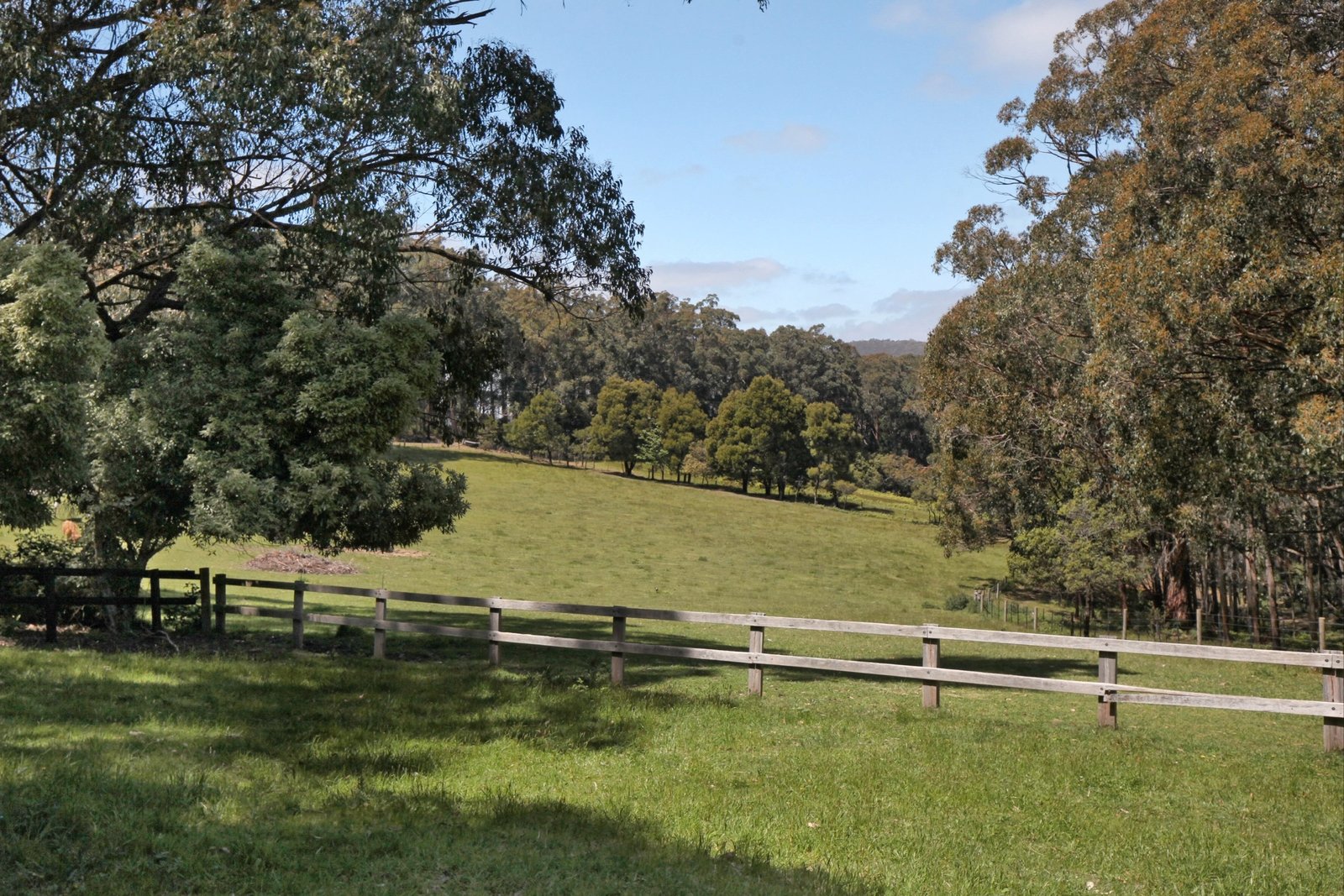 Real Estate and Property in 98 Gradys Lane, Kerrie, VIC