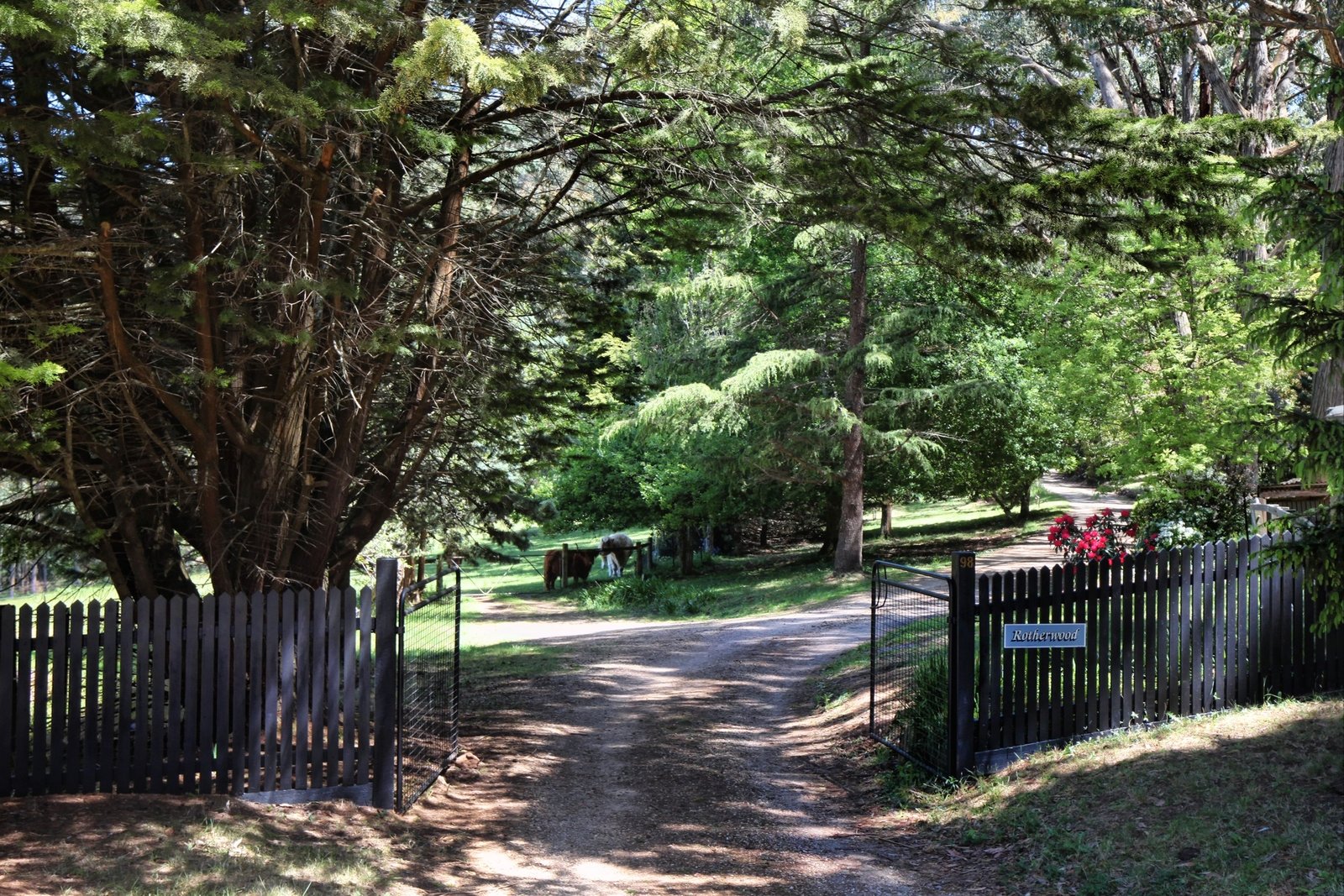 Real Estate and Property in 98 Gradys Lane, Kerrie, VIC