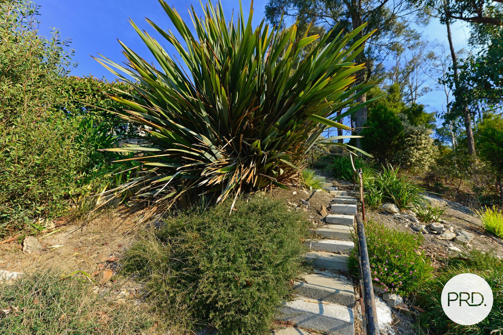 98 Jefferys Track LACHLAN 25