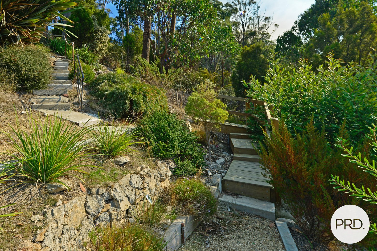 98 Jefferys Track LACHLAN 27