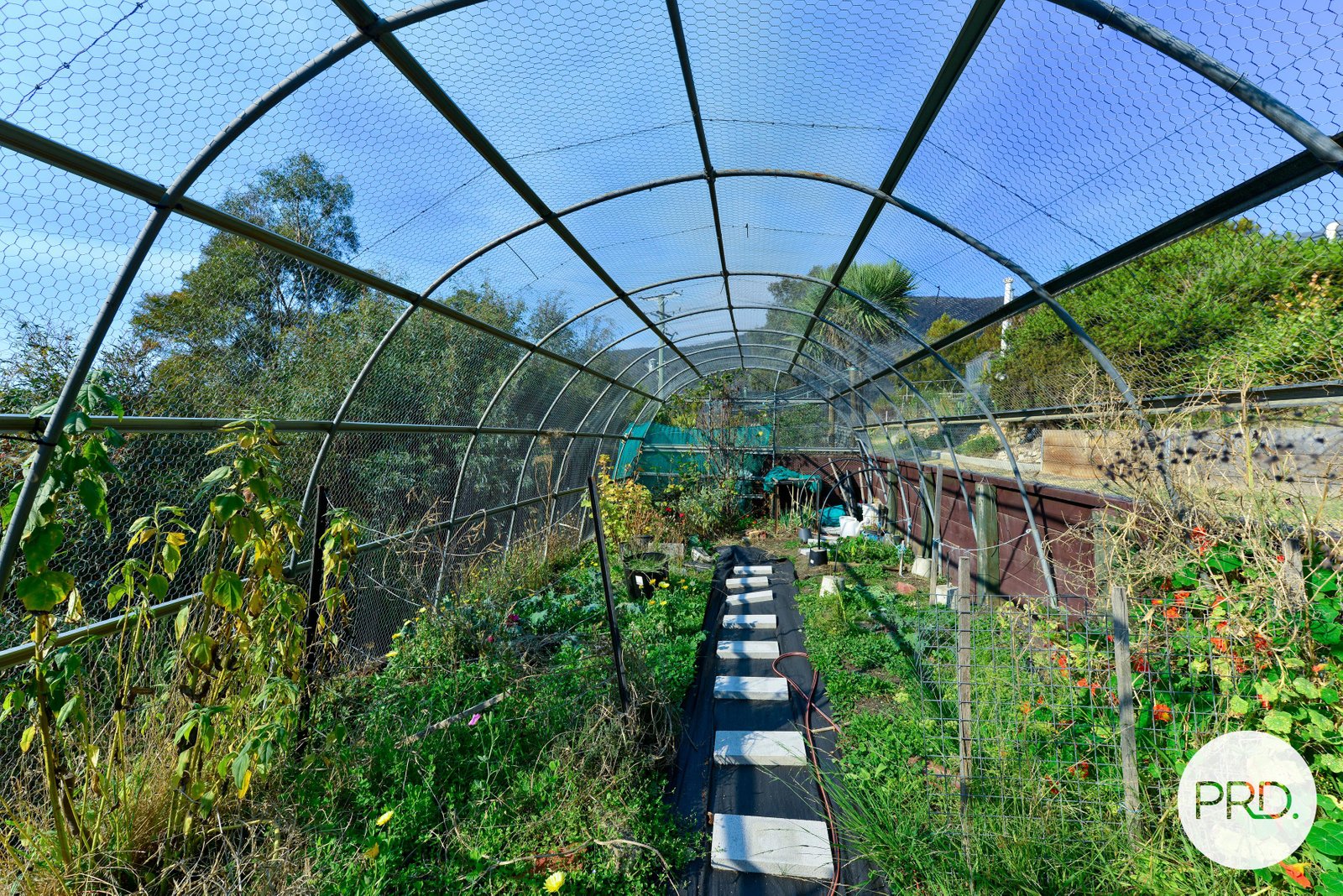 98 Jefferys Track LACHLAN 28