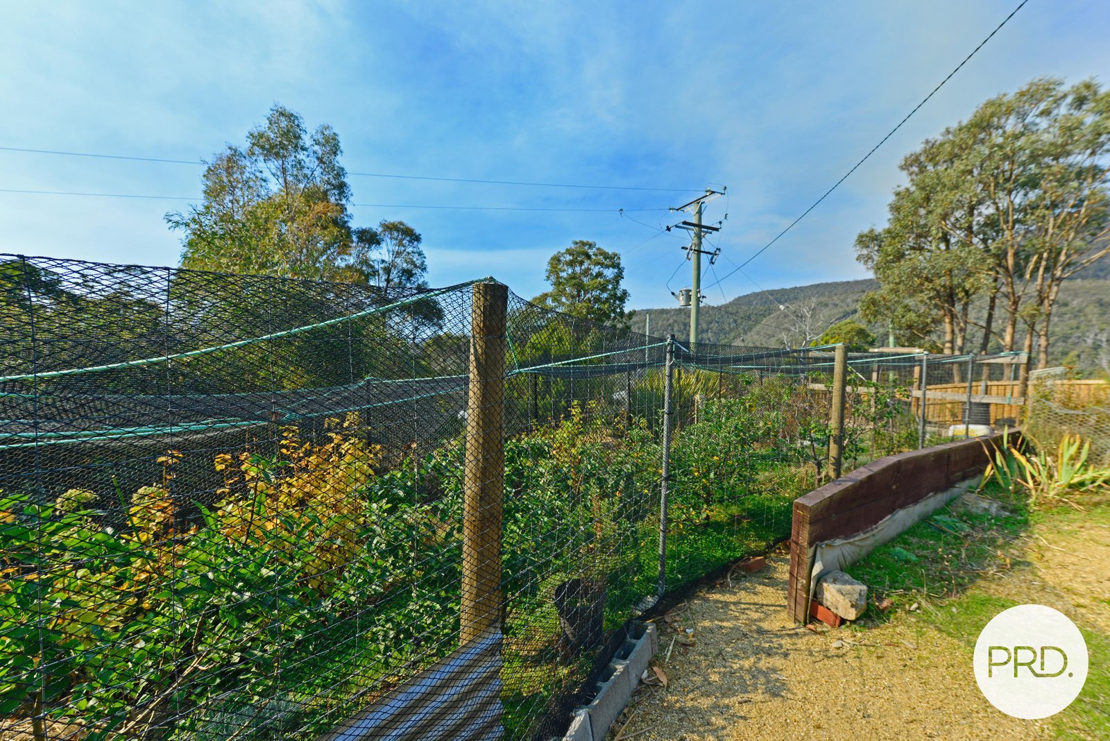 98 Jefferys Track LACHLAN 29