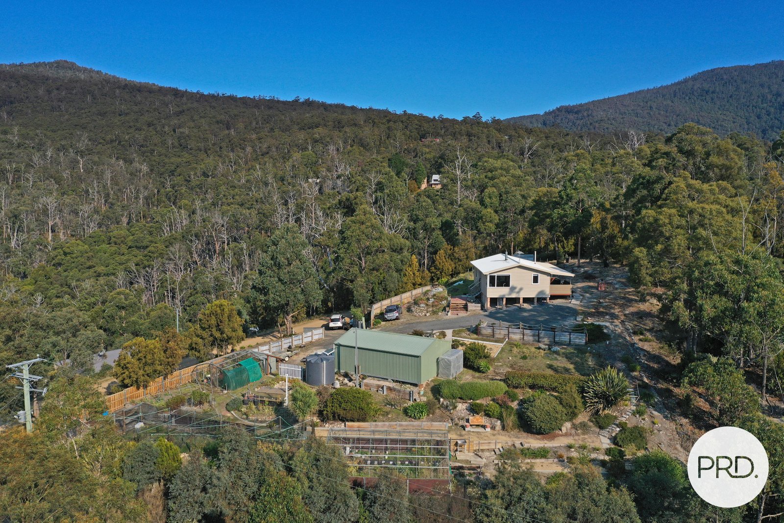 98 Jefferys Track LACHLAN 31