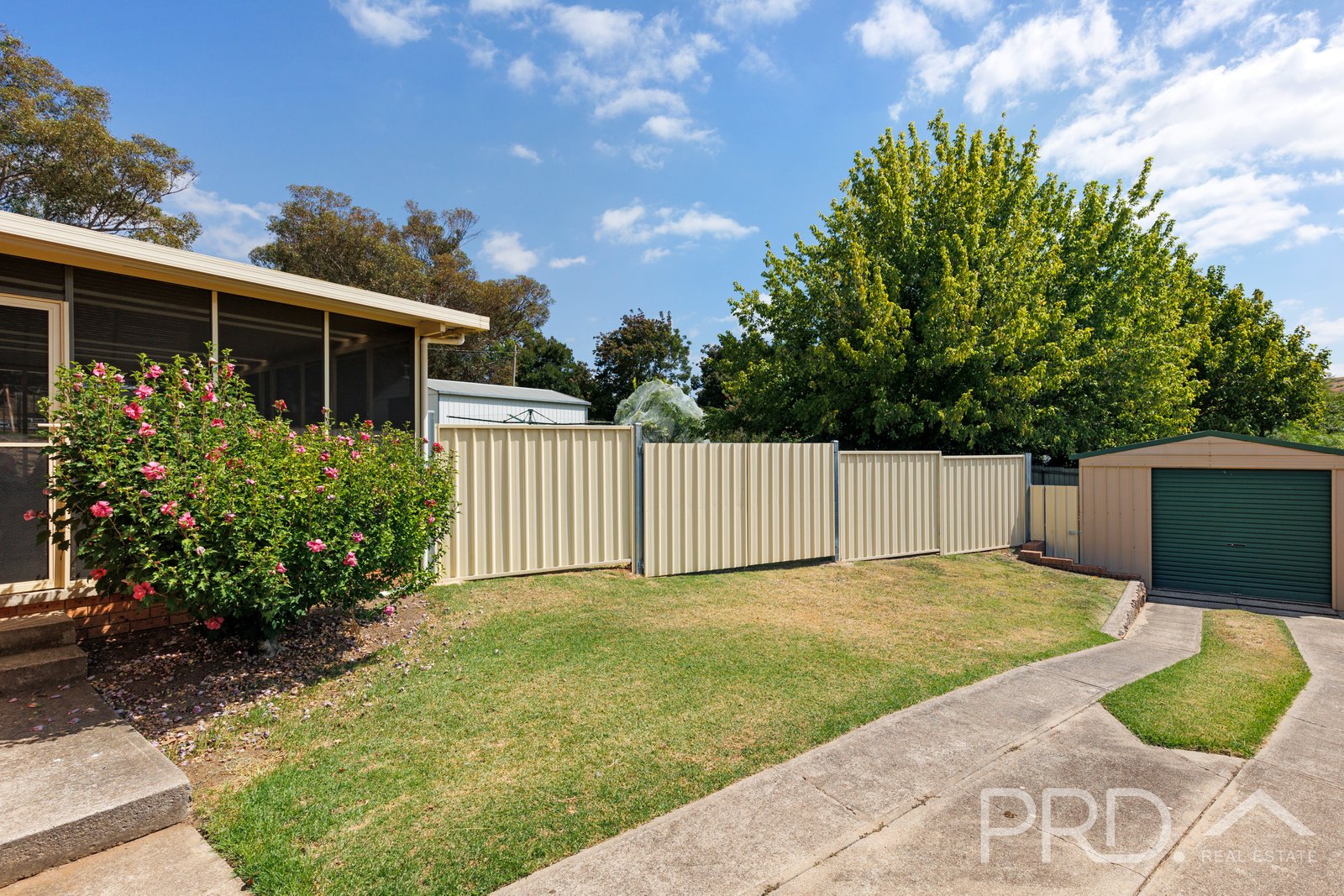 98 Lynch Street ADELONG 16