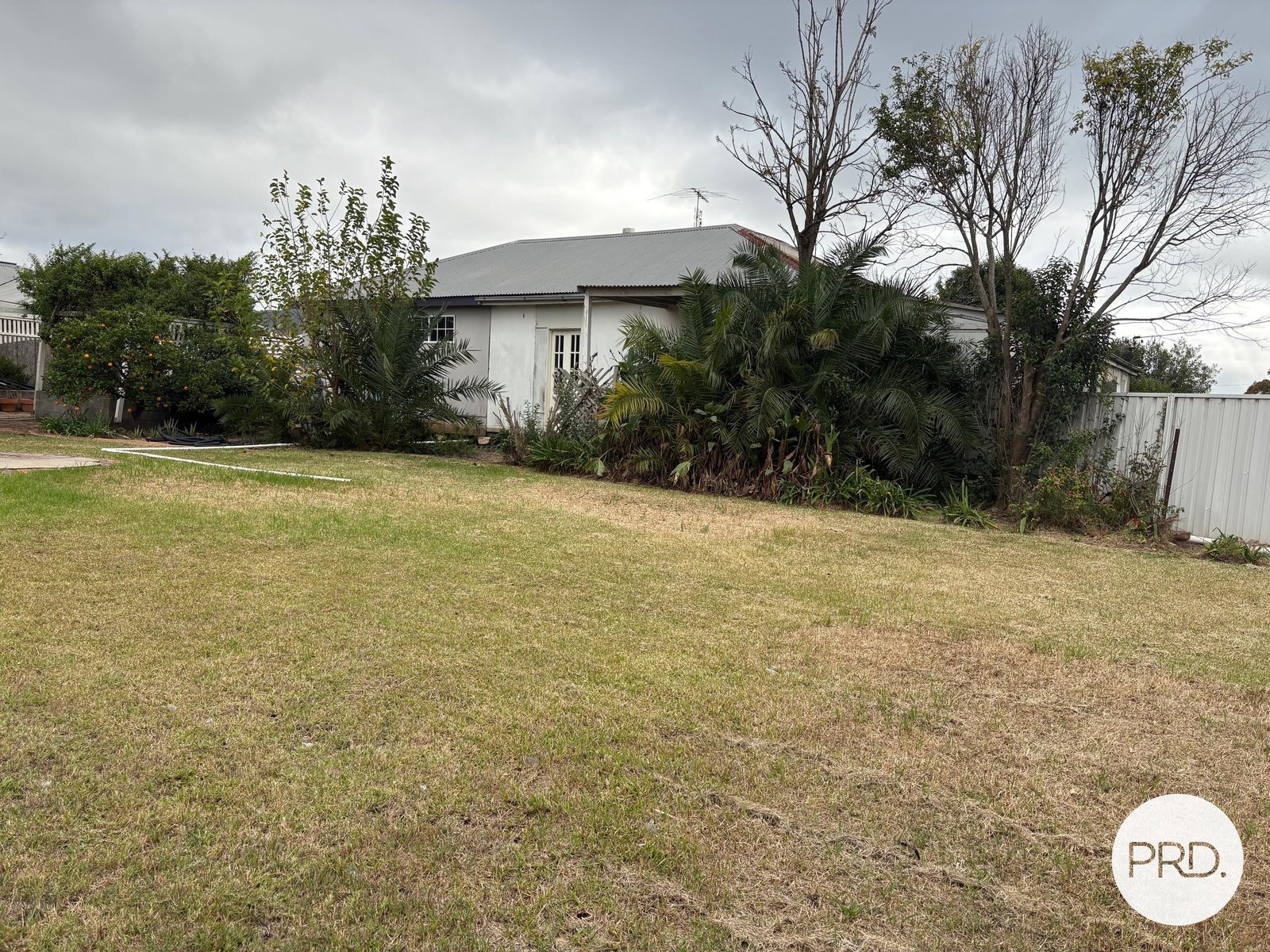 98 Palace Street DENMAN 9