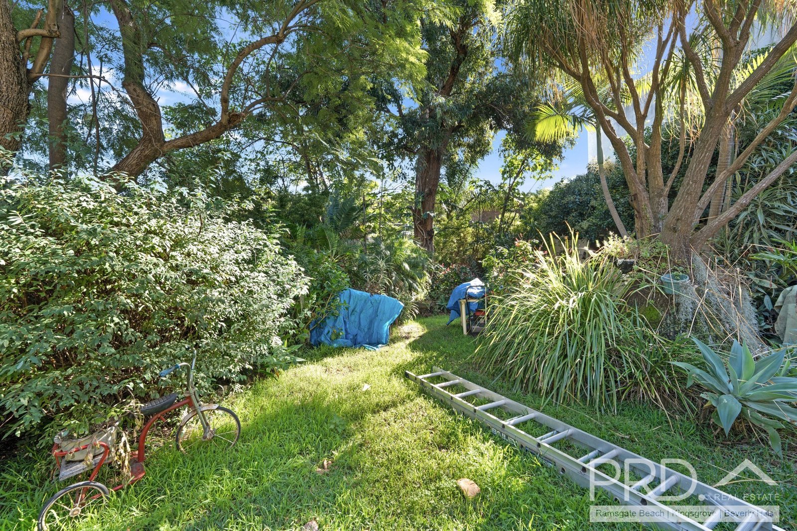 98 Rogers Street ROSELANDS 9