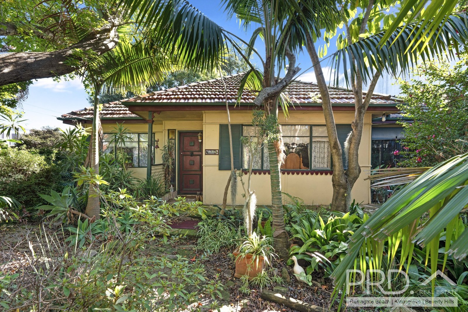 98 Rogers Street ROSELANDS 10