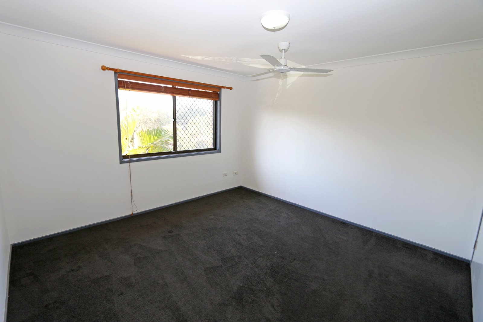 9/8 Sara Street ASHMORE 8