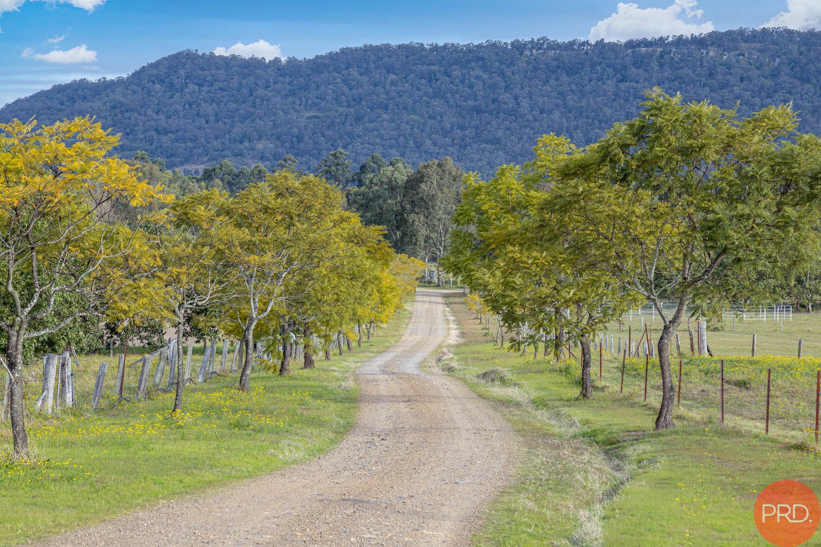 98 Torryburn Road TORRYBURN 2