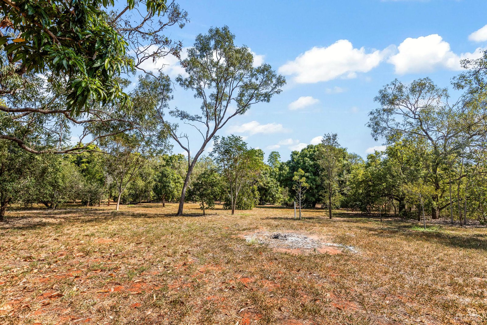 98 Yamashita Street ROEBUCK 34