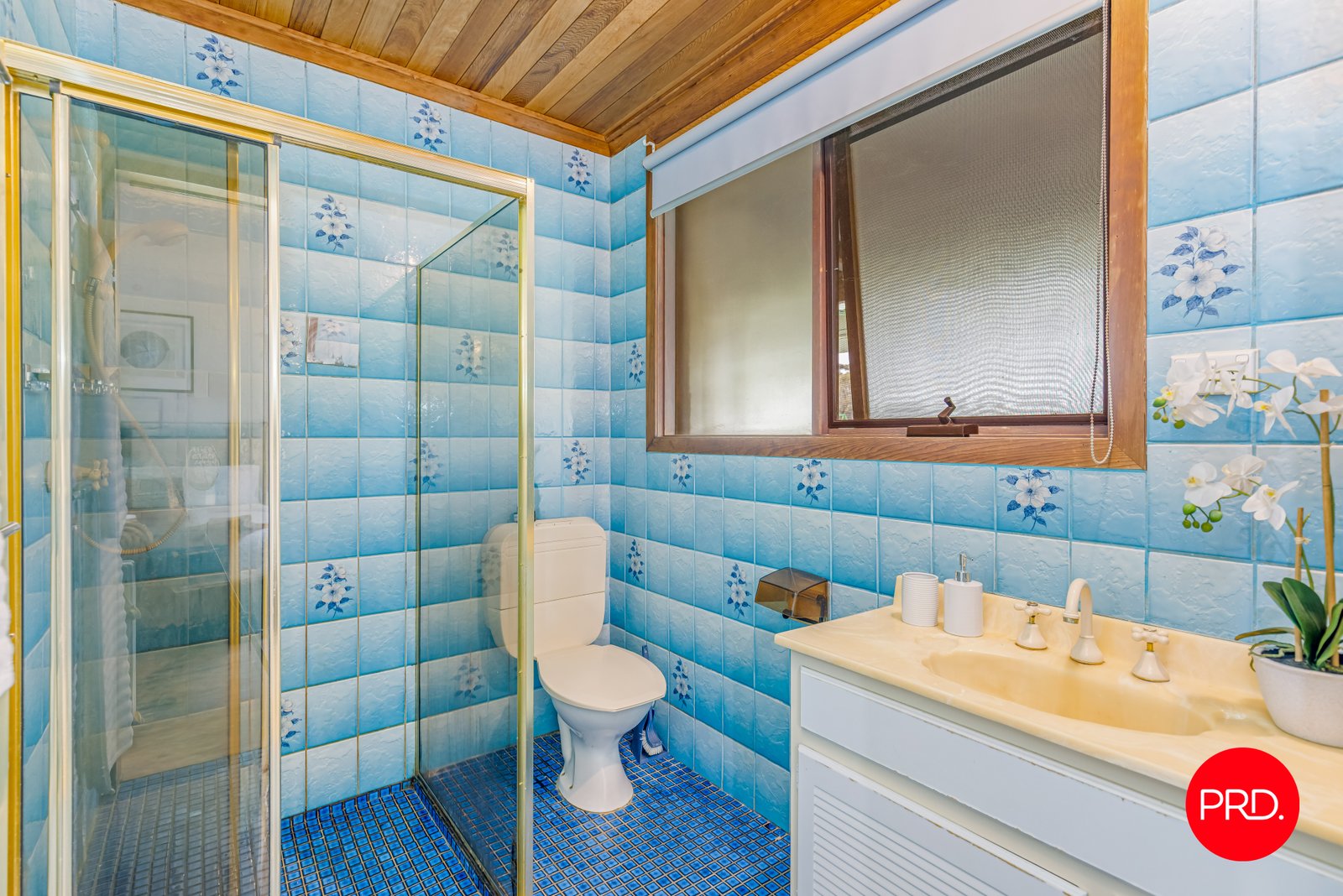 980 Calder Alternative Highway LOCKWOOD 10