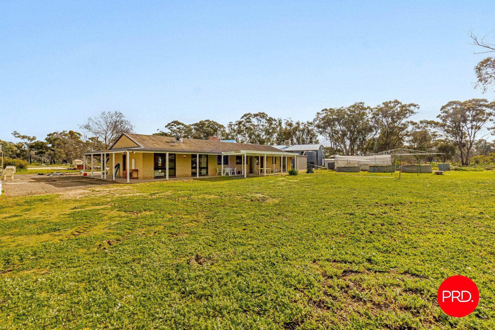 980 Calder Alternative Highway LOCKWOOD 19