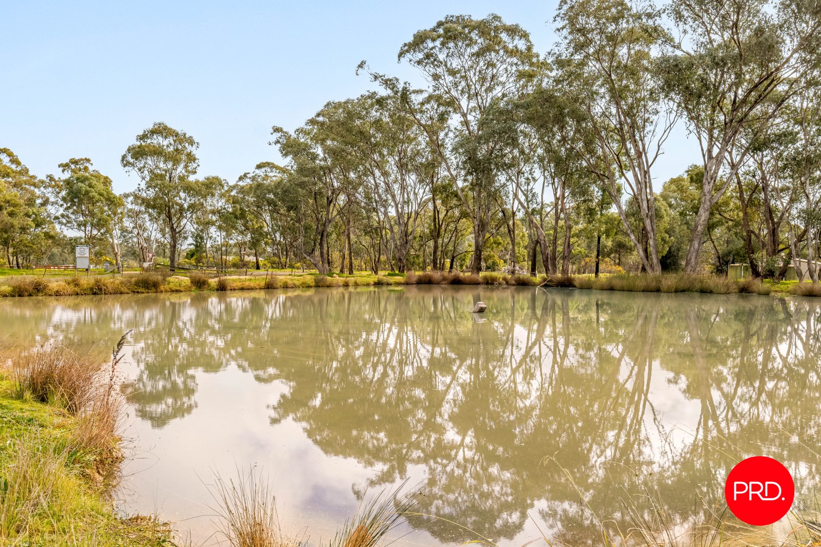 980 Calder Alternative Highway LOCKWOOD 20